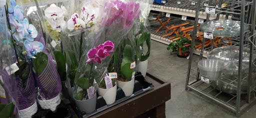 Home Improvement Store «The Home Depot», reviews and photos, 75 McLean Blvd, Paterson, NJ 07514, USA