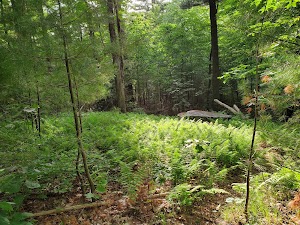 Donker Farm Trailhead - photo 4