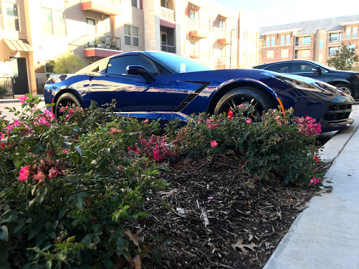 Texas Auto Spa en Plano