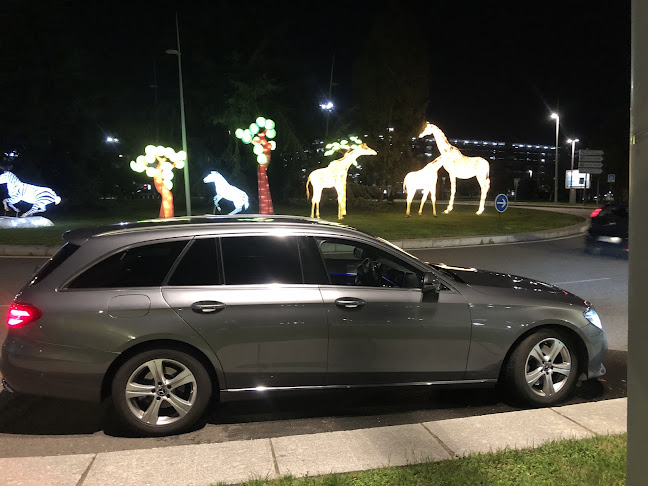 Urb. Prat del Carli, AD100 Prats