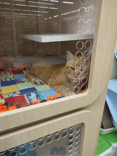 Pet Supply Store «Petco Animal Supplies», reviews and photos, 4820 South Baldwin Road #3B, Orion Township, MI 48359, USA