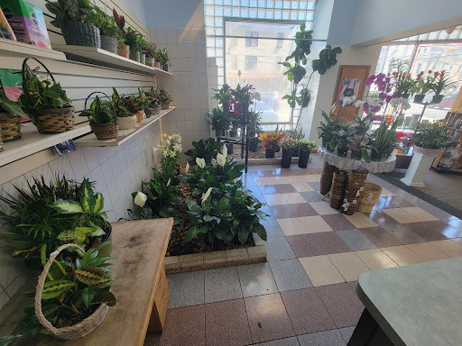 Florist «International Florist Gift Shop & Fruit Baskets Inc.», reviews and photos, 283-87 Lafayette St, Newark, NJ 07105, USA