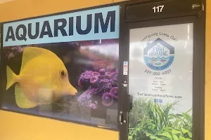 The Fish House & Aquarium Services image