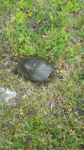 Fabric Store «Jo-Ann Fabrics and Crafts», reviews and photos, 736 Vestal Pkwy E, Vestal, NY 13850, USA