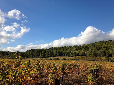 Domaine Du Pech De L'Escale à Saint-Laurent-de-la-Cabrerisse