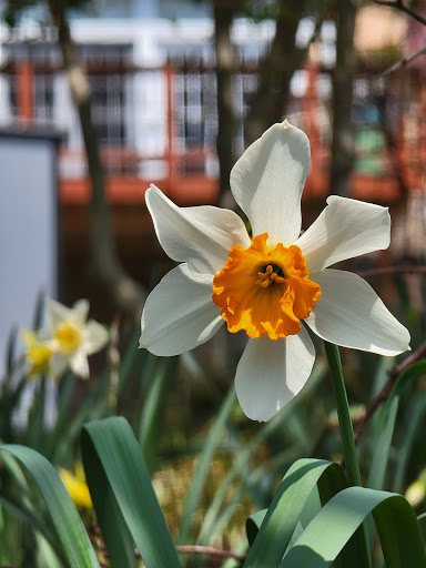 Park «Crispus Attucks Park», reviews and photos, 23 U St NW, Washington, DC 20001, USA