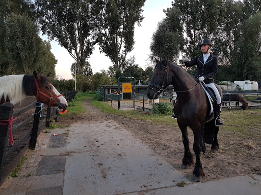 The Manege Drechterweide