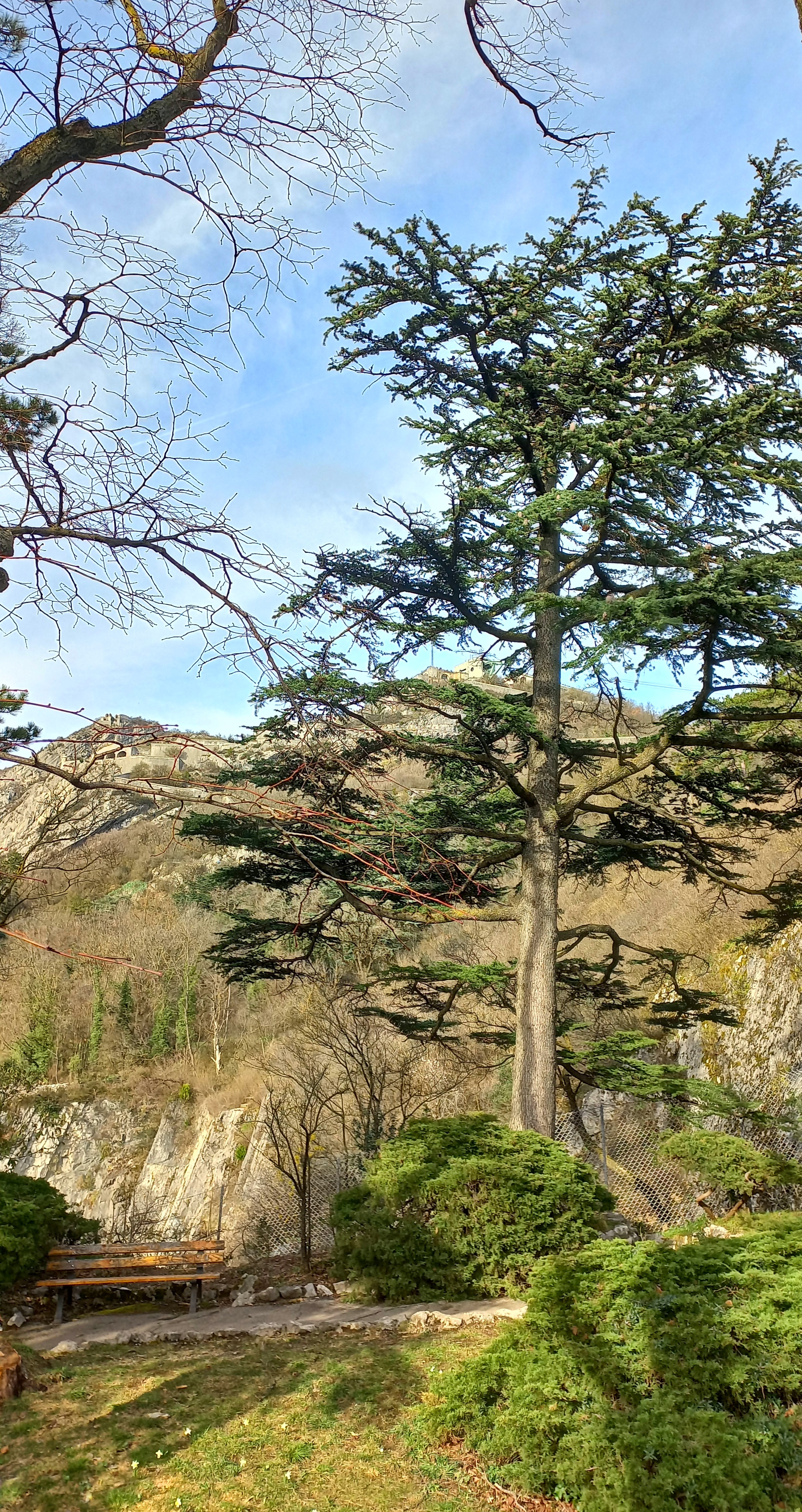 Photo n° 22 de l'avis de Annick.h fait le 13/03/2023 à 11:20