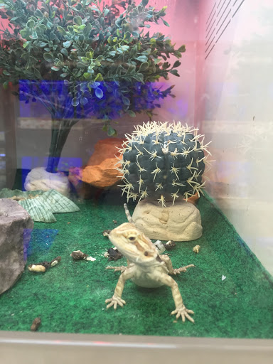 Pet Supply Store «Pet Supplies Plus», reviews and photos, 1137 Annapolis Rd, Odenton, MD 21113, USA
