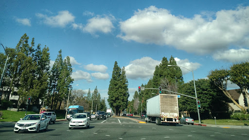 Insurance Agency «AAA», reviews and photos