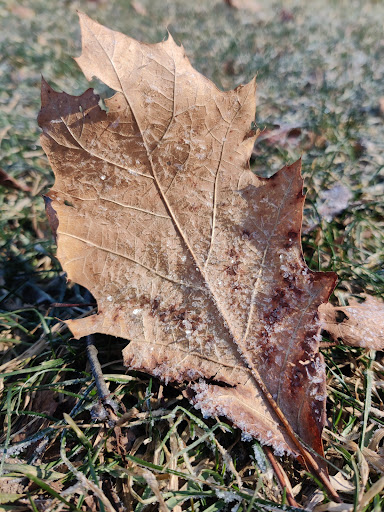 Golf Course «​​​​​Leslie Park Golf Course», reviews and photos, 2120 Traver Rd, Ann Arbor, MI 48105, USA