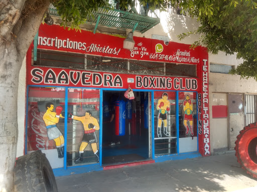 SAAVEDRA BOXING CLUB