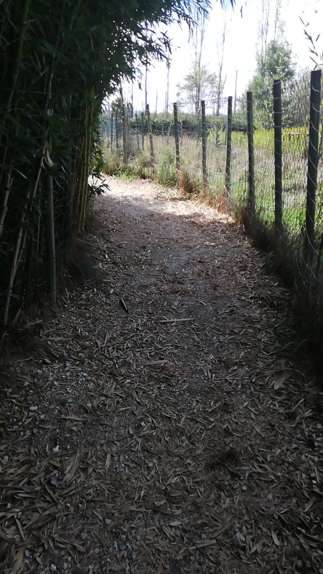 Photo n° 1 de l'avis de gilbert.a fait le 21/08/2022 à 12:59