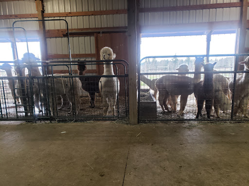 Auto Parts Store «AutoZone», reviews and photos, 10722 SE 82nd Ave, Happy Valley, OR 97086, USA