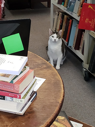 Used Book Store «Atlanta Vintage Books», reviews and photos, 3660 Clairmont Rd, Atlanta, GA 30341, USA