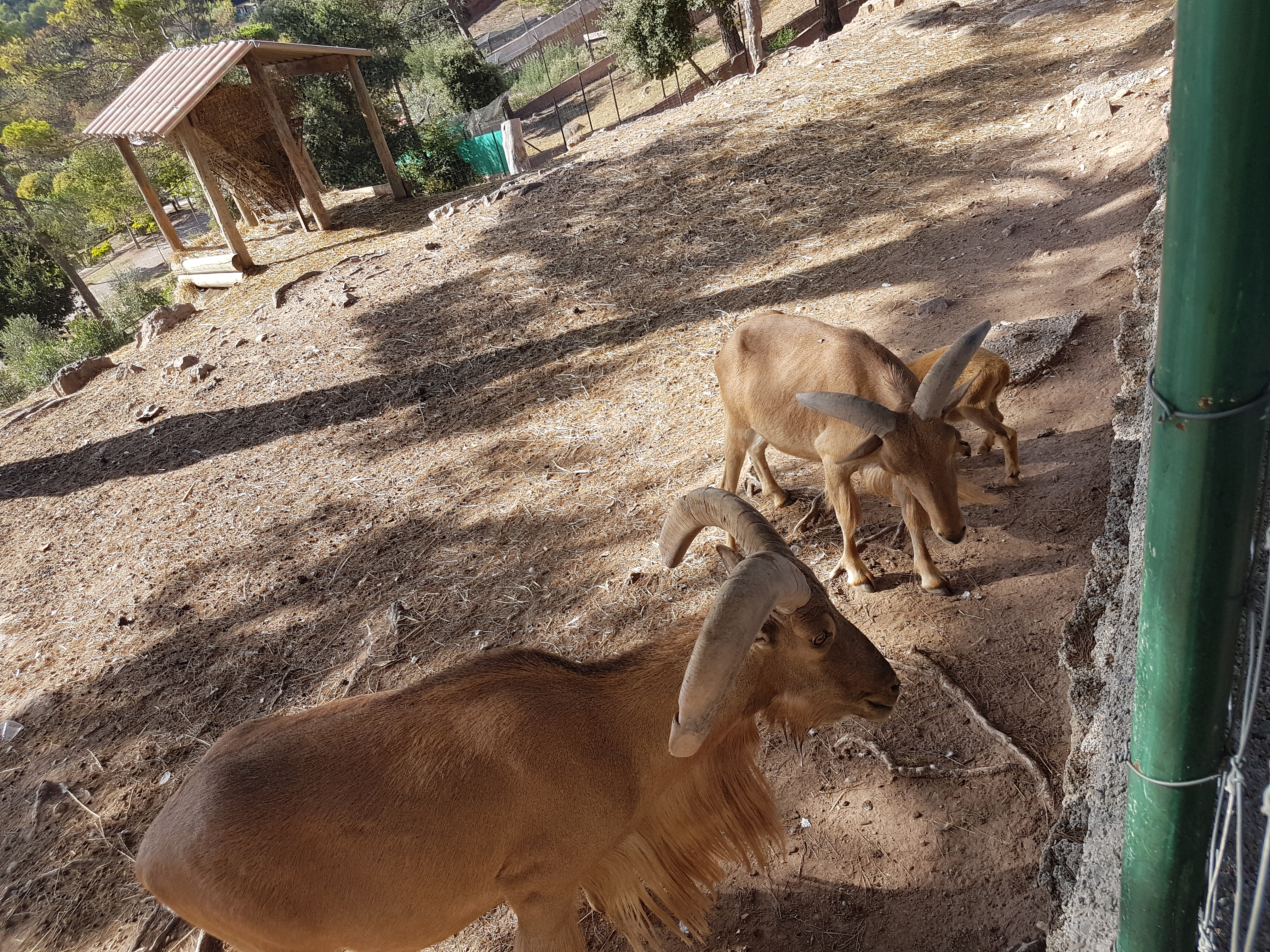 Photo n° 19 de l'avis de Armand.A fait le 09/09/2018 à 19:52