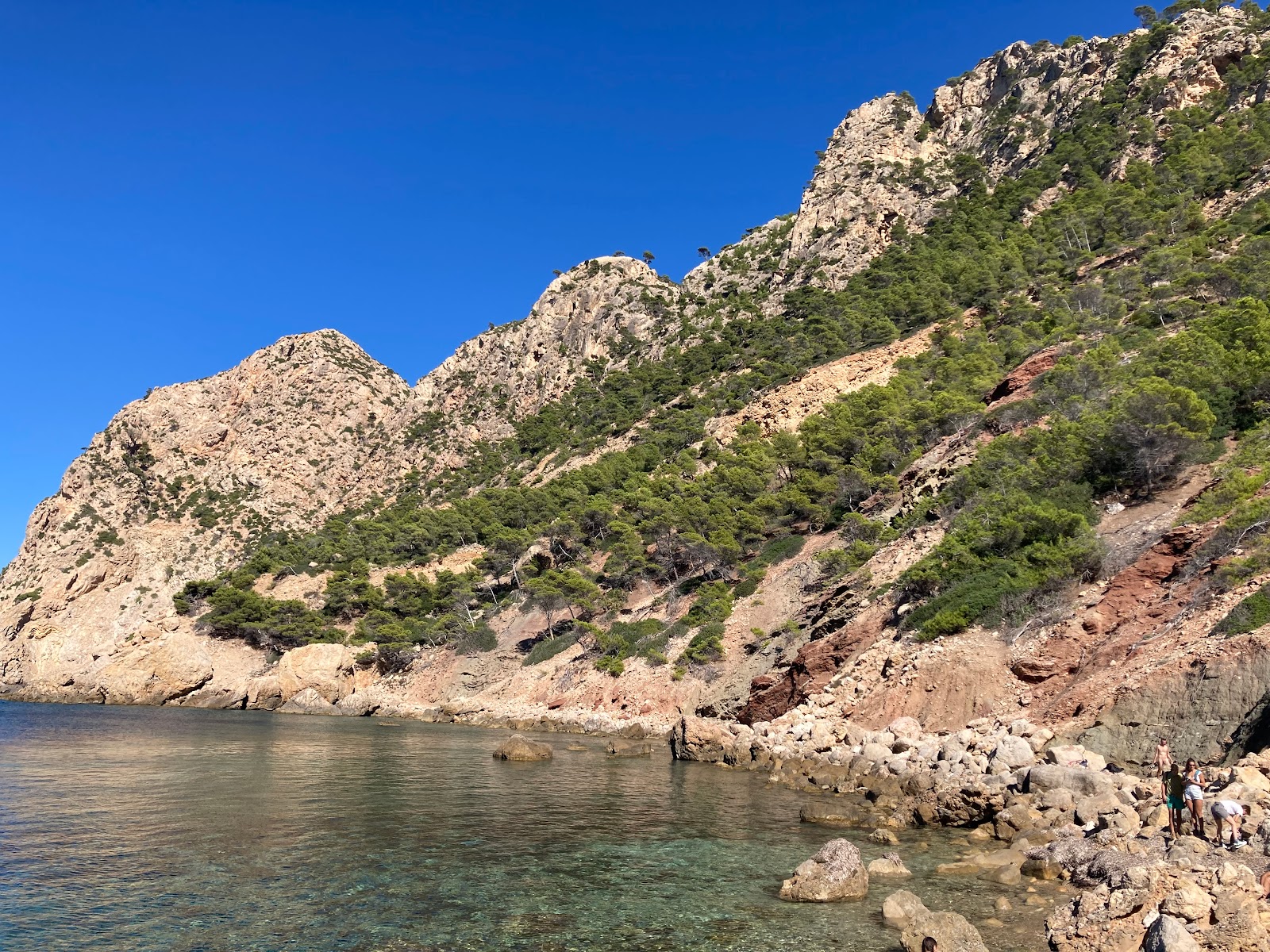 Photo of Cala en Basset with very clean level of cleanliness