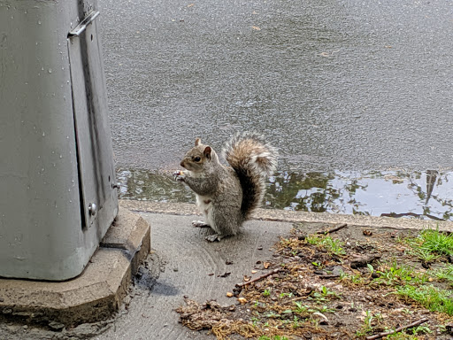 National Park «Hamilton Grange National Memorial», reviews and photos, 414 W 141st St, New York, NY 10031, USA