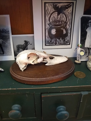 Book Store «NeverMore Books», reviews and photos, 702 Craven St, Beaufort, SC 29902, USA