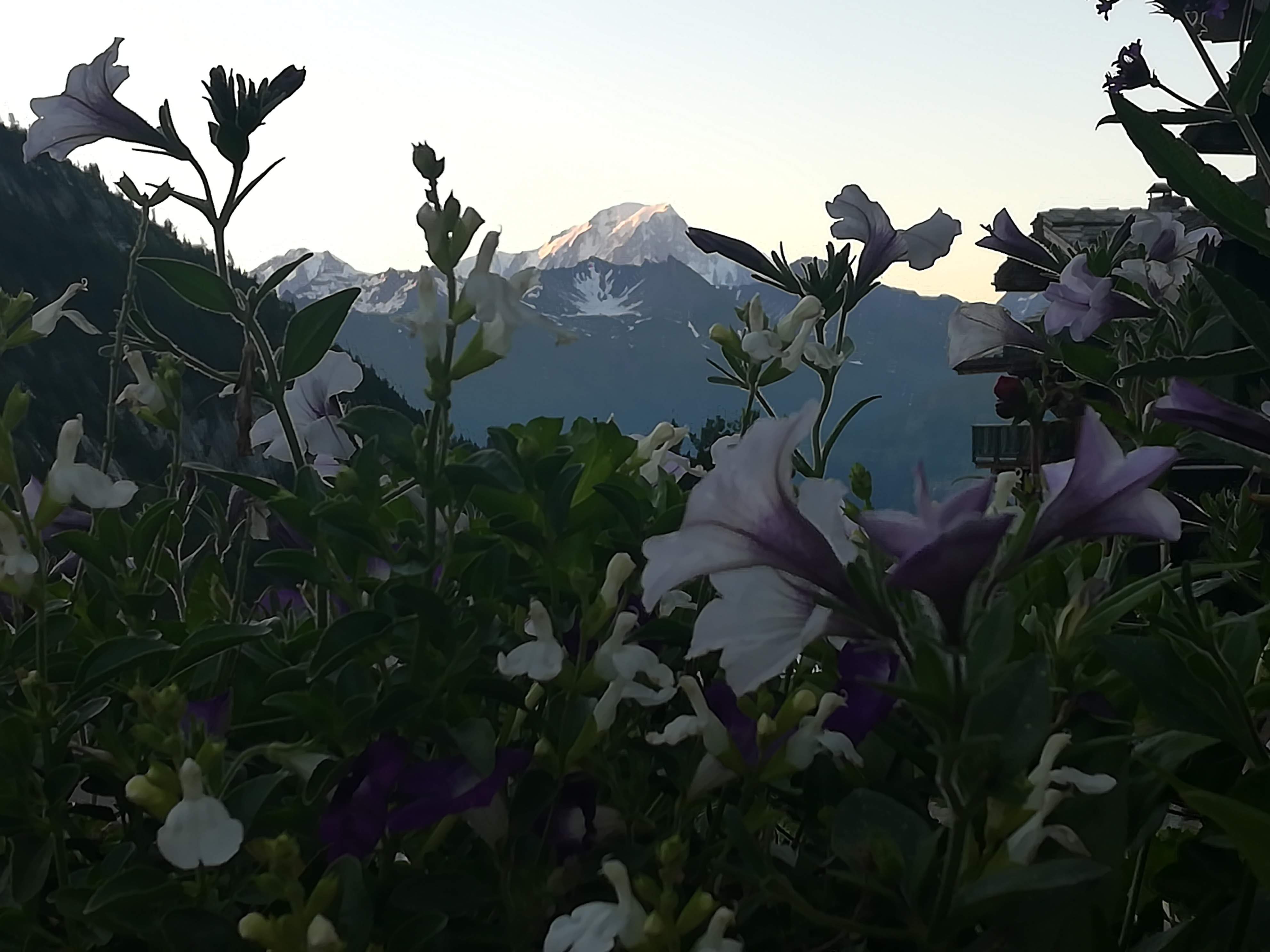 Photo n° 1 de l'avis de Flo.a fait le 10/07/2021 à 18:35