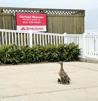 Christel Manson - State Farm Insurance Agent - Photo 7 - Car repair in Waterloo, IA, Waterloo
