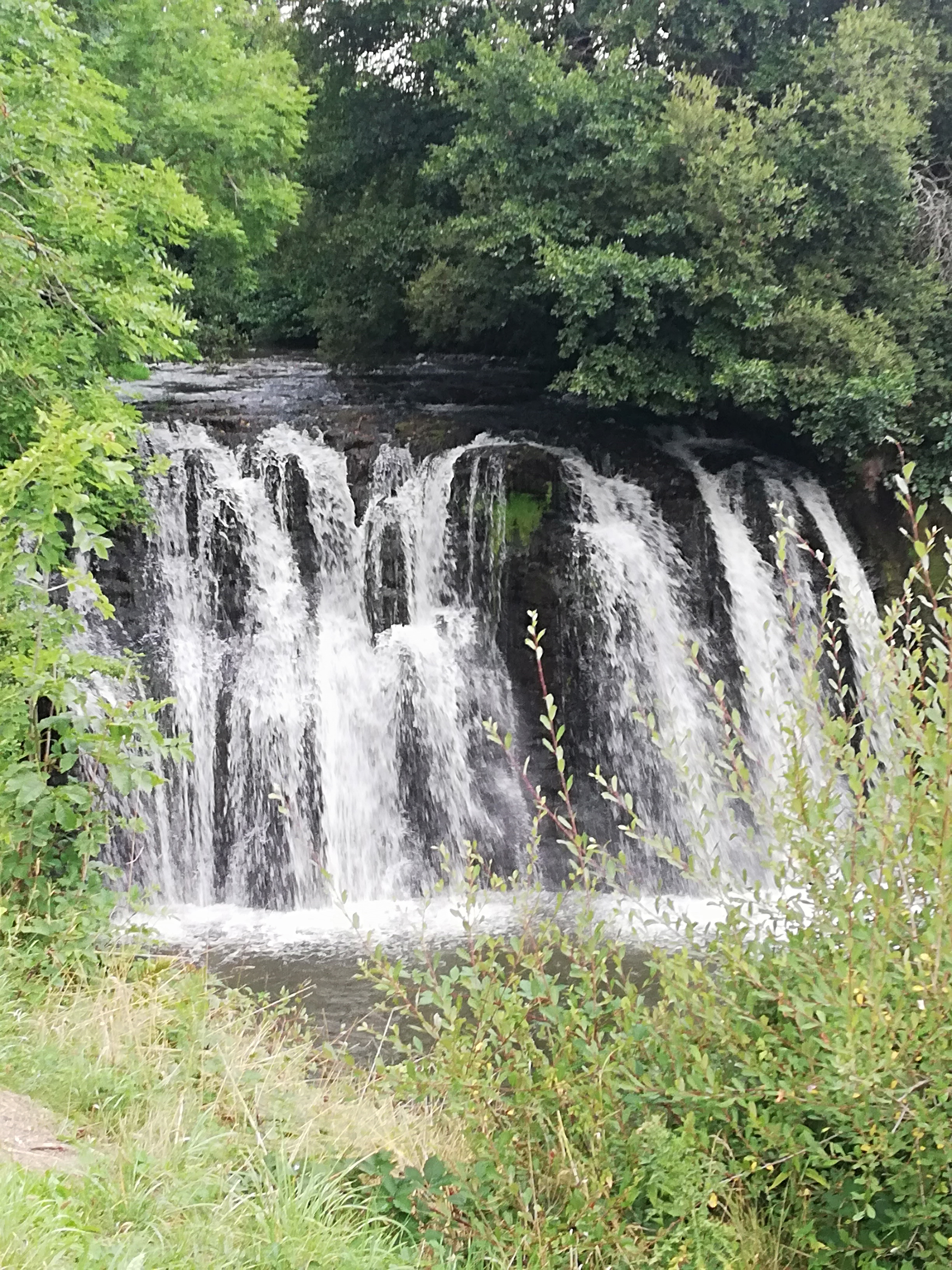 Photo n° 1 de l'avis de trucs.t fait le 06/09/2019 à 15:52