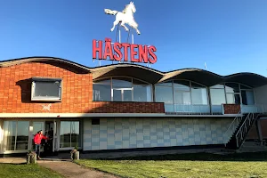 Hästens Office image