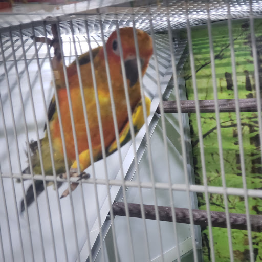 Pet Store «Carters Pet Mart», reviews and photos, 510 N Main St, Manteca, CA 95336, USA