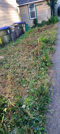 Y-JIMENEZ MULTI SERVICE LLC - Photo 5 - Car repair in , Providence