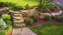 LakeView Lawncare & Landscape Co.