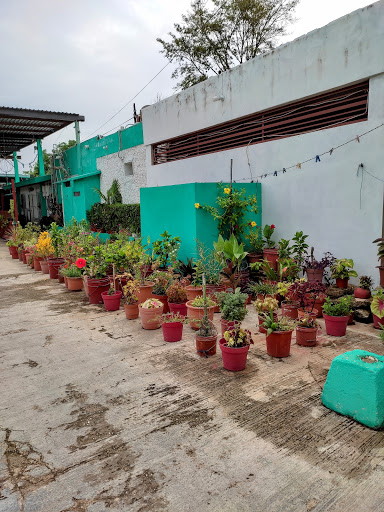 Unknown Nursery florería en  en la zona Sisal