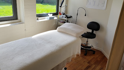 Brise Akupunktur - Akupunktur i Viborg