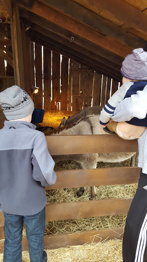 Funeral Home «Paul R Young Funeral Home», reviews and photos, 7345 Hamilton Ave, Cincinnati, OH 45231, USA