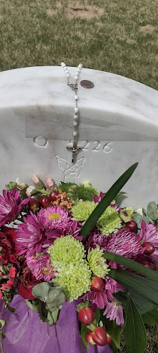 Shopping Mall «Bear Valley Shopping Center», reviews and photos, 3100 S Sheridan Blvd, Denver, CO 80227, USA