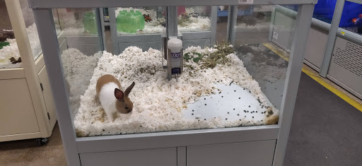 Pet Supply Store «Petsense Fort Worth», reviews and photos, 1408 Eastchase Pkwy #100, Fort Worth, TX 76120, USA