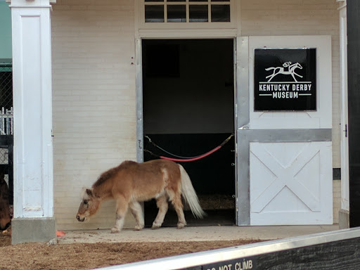 Museum «Kentucky Derby Museum», reviews and photos, 704 Central Ave, Louisville, KY 40208, USA