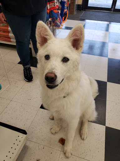 Pet Supply Store «Petco Animal Supplies», reviews and photos, 565 S State St, Westerville, OH 43081, USA