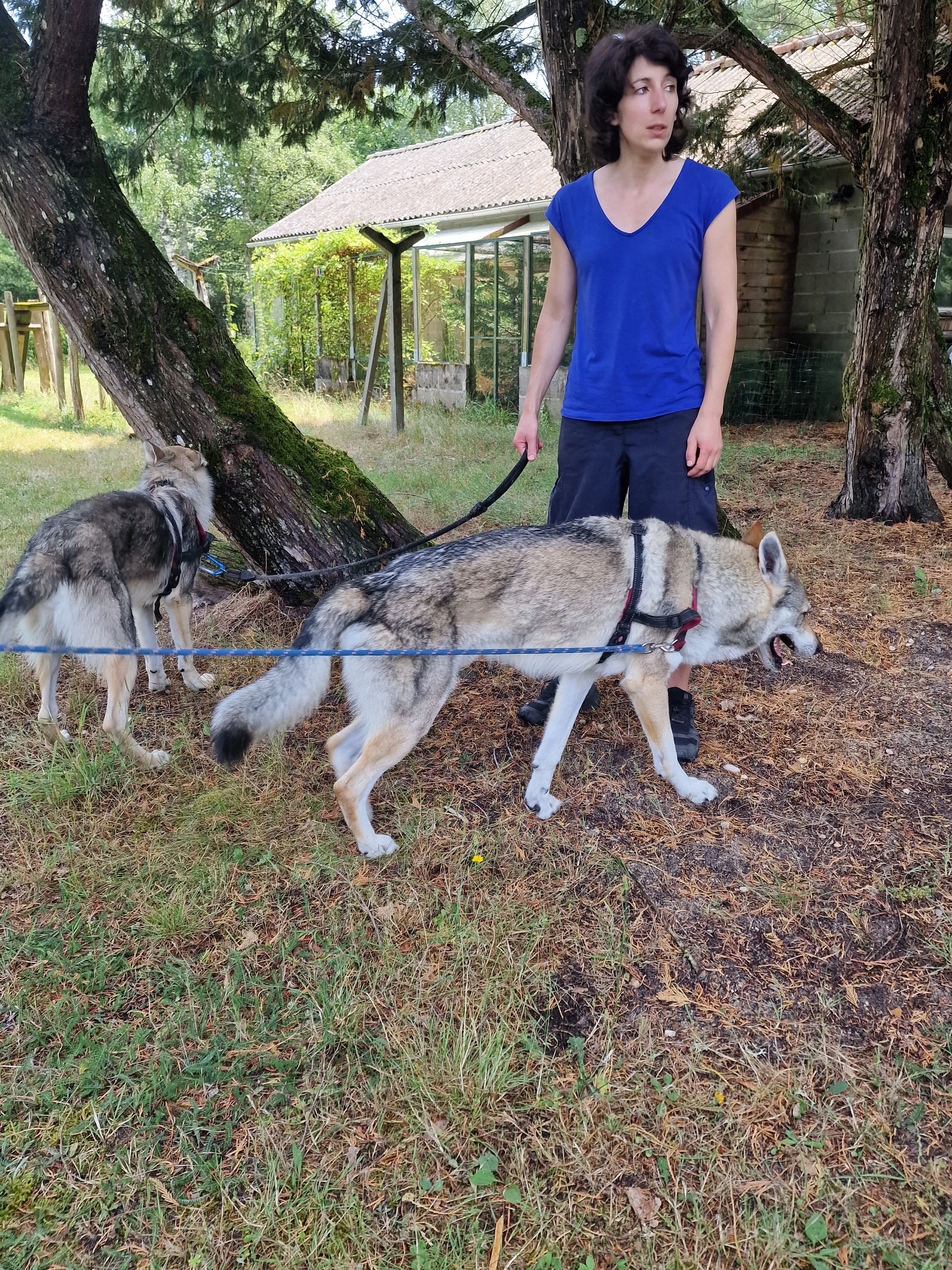 Photo n° 2 de l'avis de Charles.e fait le 16/07/2023 à 17:56