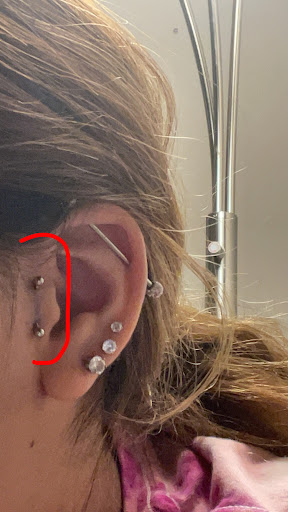 Explore weed plant tattoo ideas, creative tattoo ideas in Lake Alfred, available at Moreira Ink