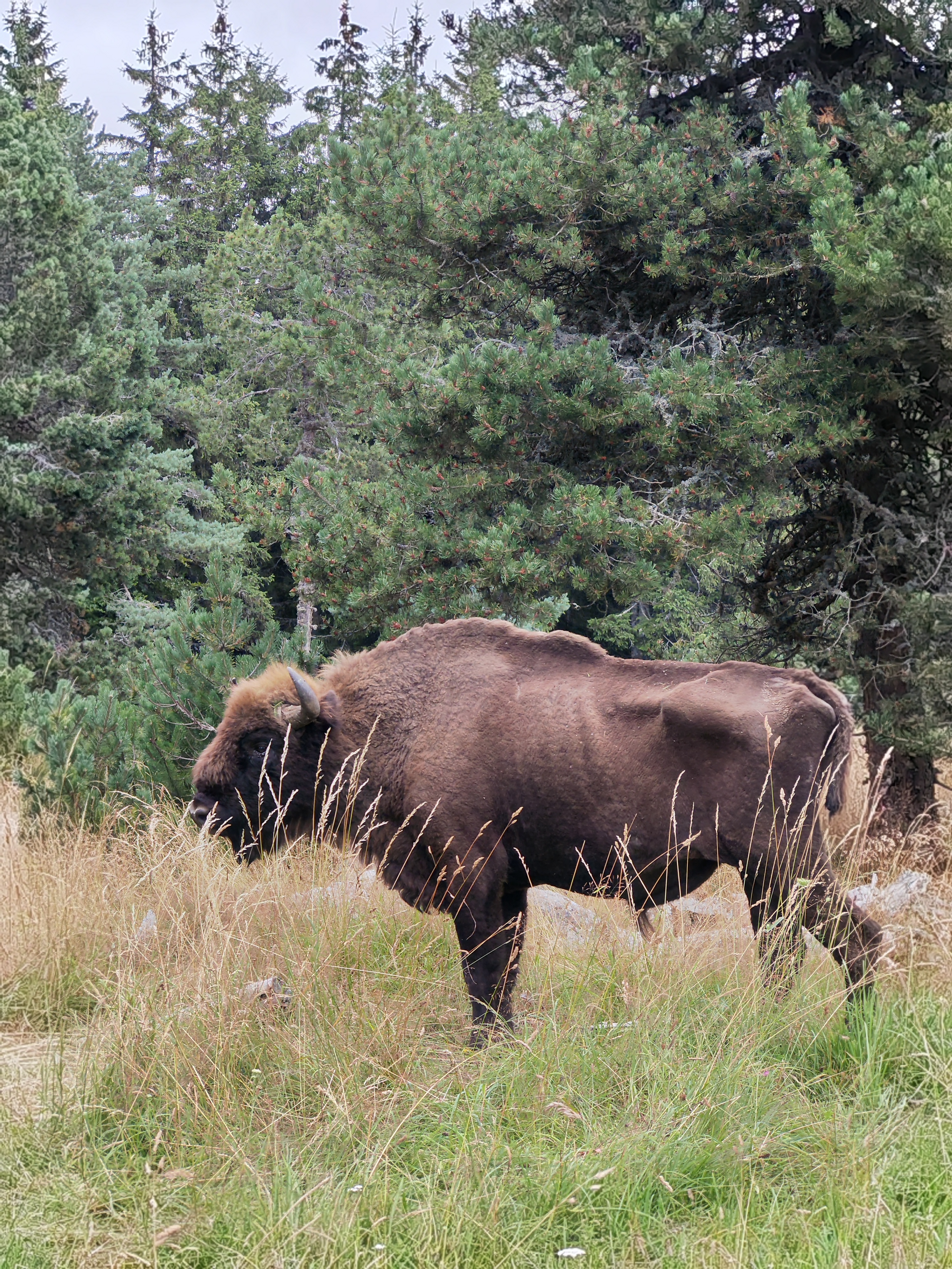 Photo n° 3 de l'avis de Isabelle.a fait le 06/08/2023 à 12:14