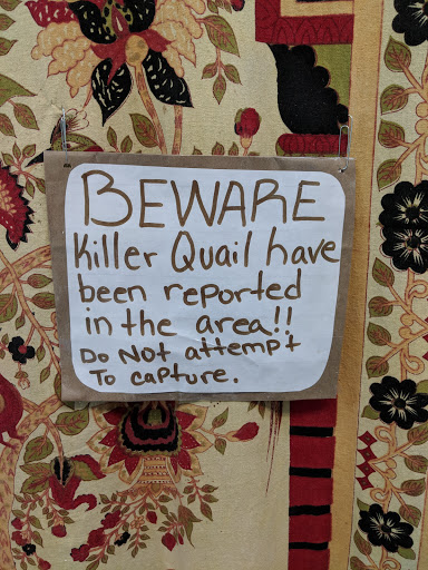 Pet Supply Store «The Animal Connection», reviews and photos, 2550 2550 Judah St & 31st Ave, San Francisco, CA 94122, USA