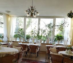 Café Bistro Typic photo