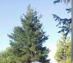 Plazas de San Buenaventura photo