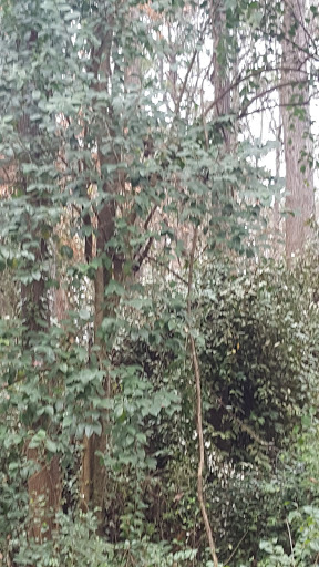 Park «Sandy Springs - Ridgeview Park», reviews and photos, 5200 S Trimble Rd, Sandy Springs, GA 30342, USA