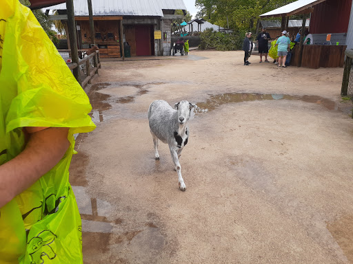 Zoo «ZooWorld Zoological and Botanical Conservatory», reviews and photos, 9008 Front Beach Rd, Panama City Beach, FL 32407, USA