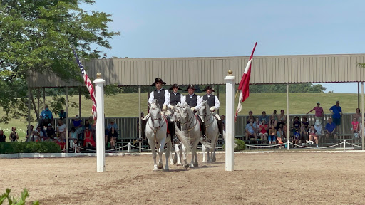 Tourist Attraction «The Tempel Lipizzans», reviews and photos, 17000 W Wadsworth Rd, Old Mill Creek, IL 60083, USA