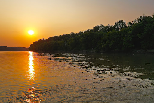 Winery «Augusta Winery», reviews and photos, 5601 High St, Augusta, MO 63332, USA