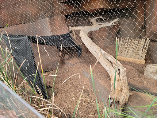 Zoo «Desert Dome & Kingdoms of the Night», reviews and photos, 3701 S 10th St, Omaha, NE 68108, USA