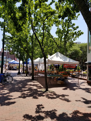 Day Care Center «Cambridge Community Center Inc», reviews and photos, 5 Callender St, Cambridge, MA 02139, USA