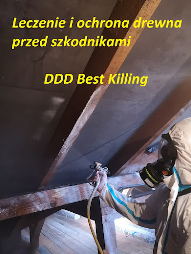 Komentarze i opinie o Dezynsekcja, Dezynfekcja, Deratyzacja DDD Best Killing